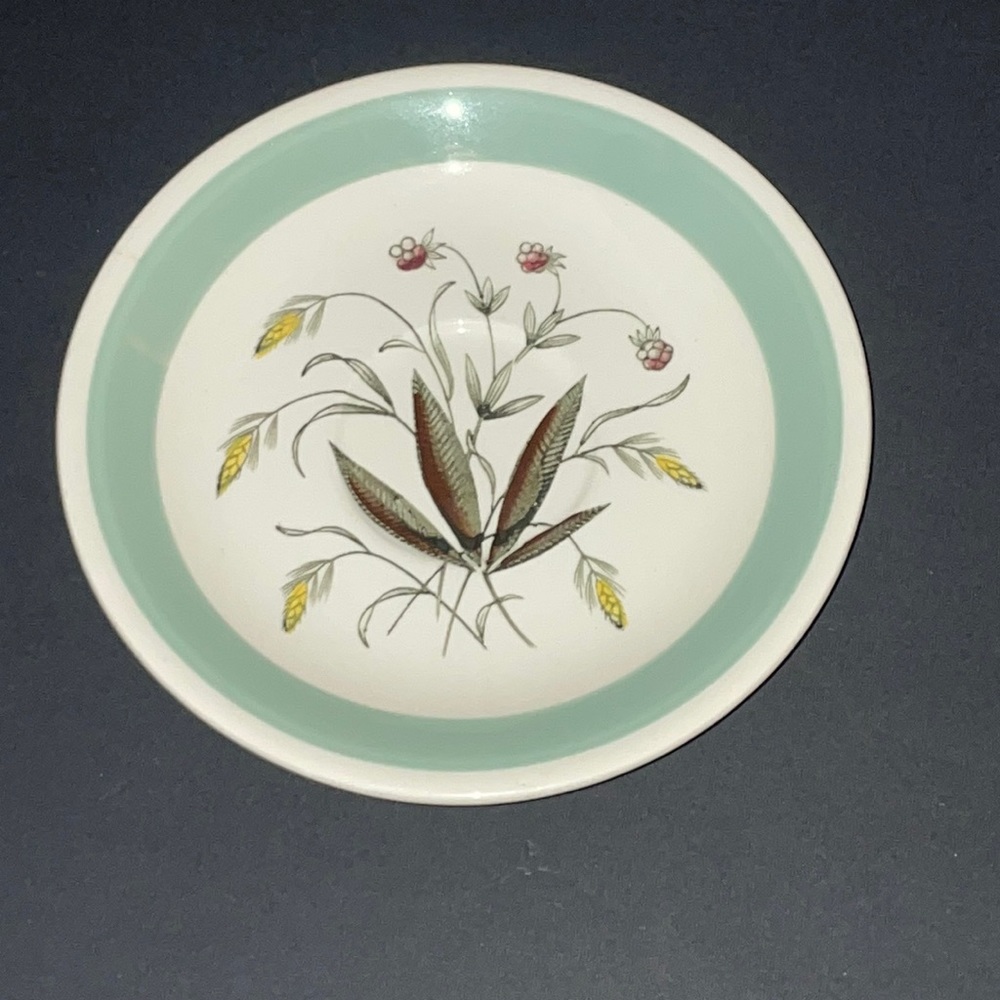 Alfred Meakin Hedgerow Saucer England  No Cup As Is Craft China Jewellery